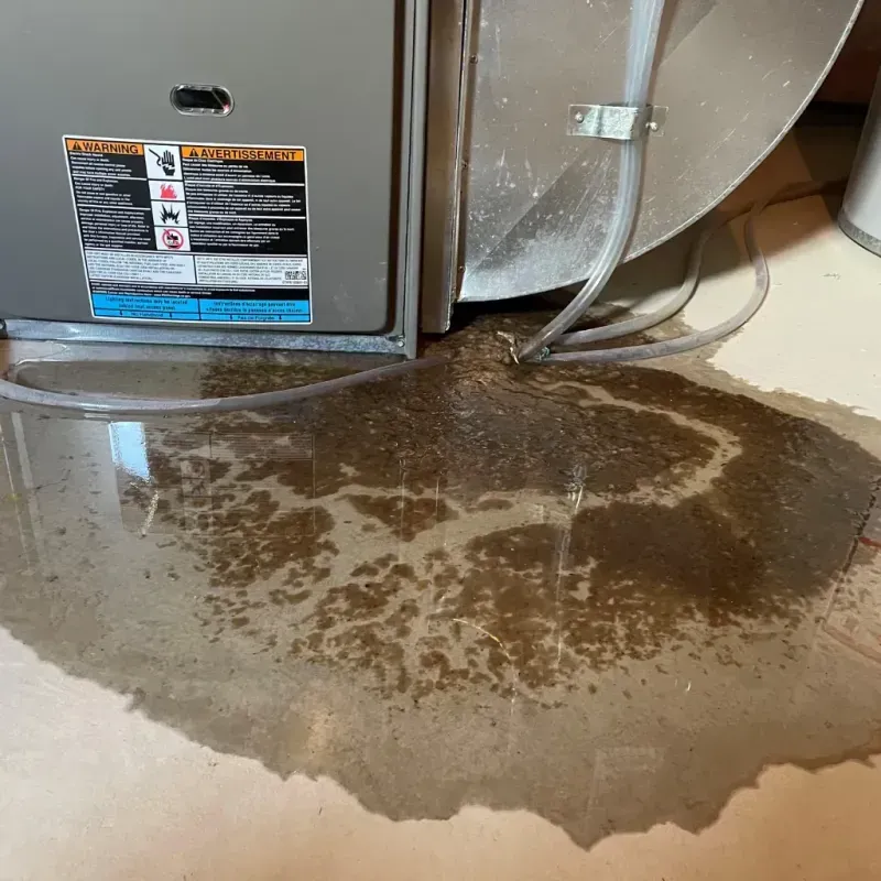 Appliance Leak Cleanup in Teays Valley, WV